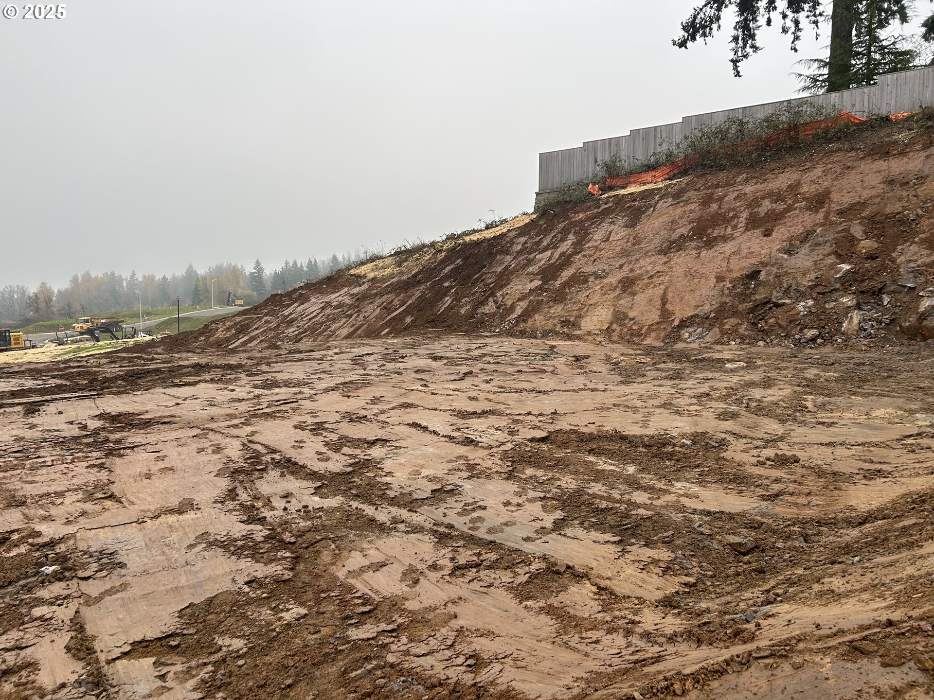 16092 Serres Farms WAY 51