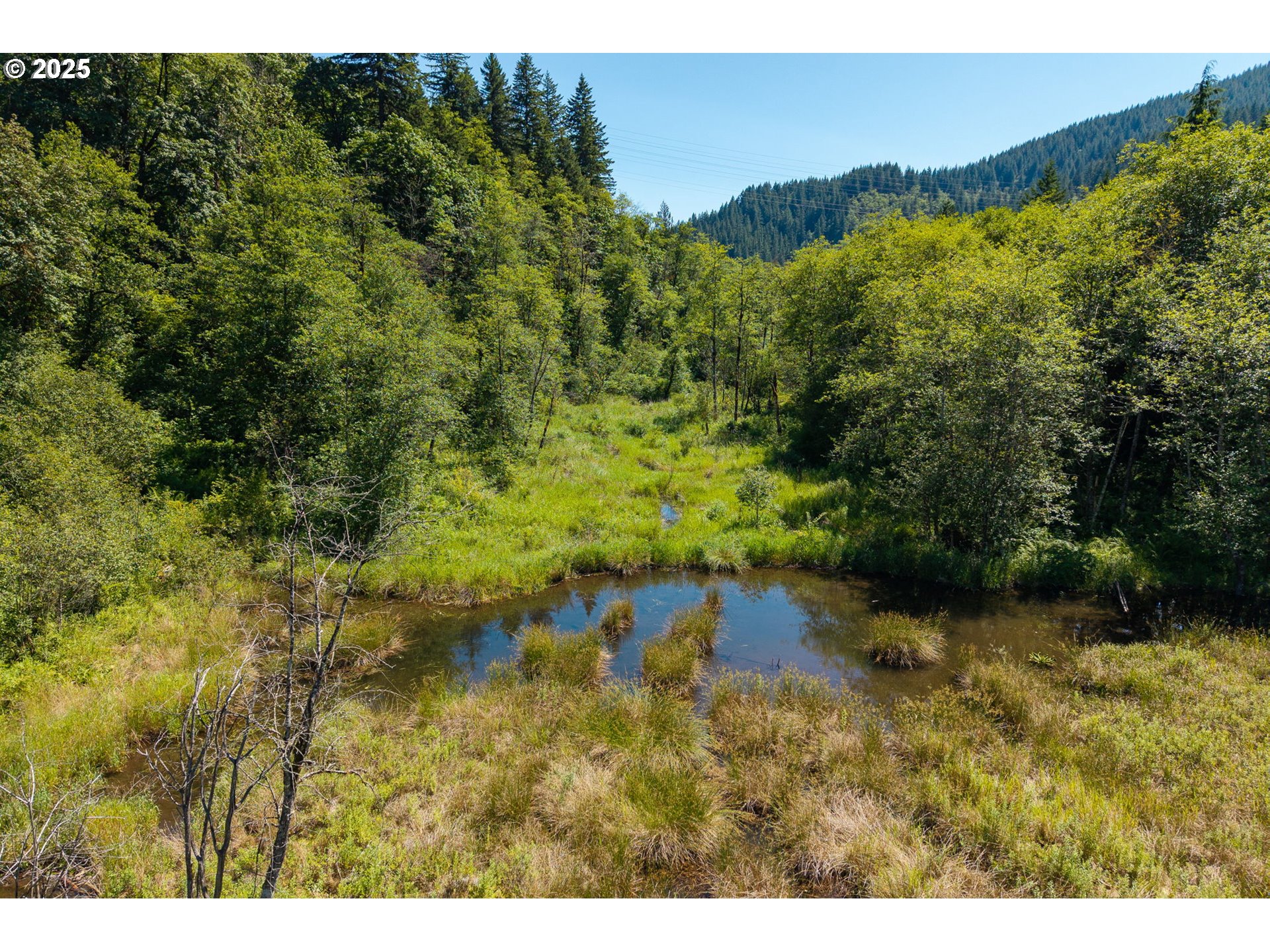 16102 WASHOUGAL RIVER RD