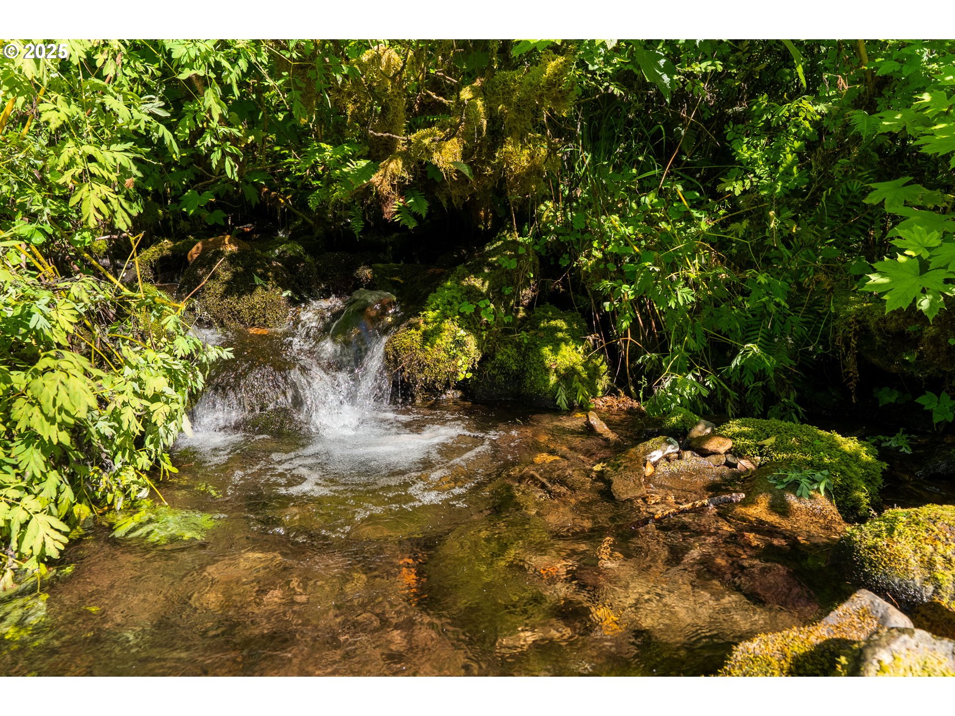 16102 WASHOUGAL RIVER RD