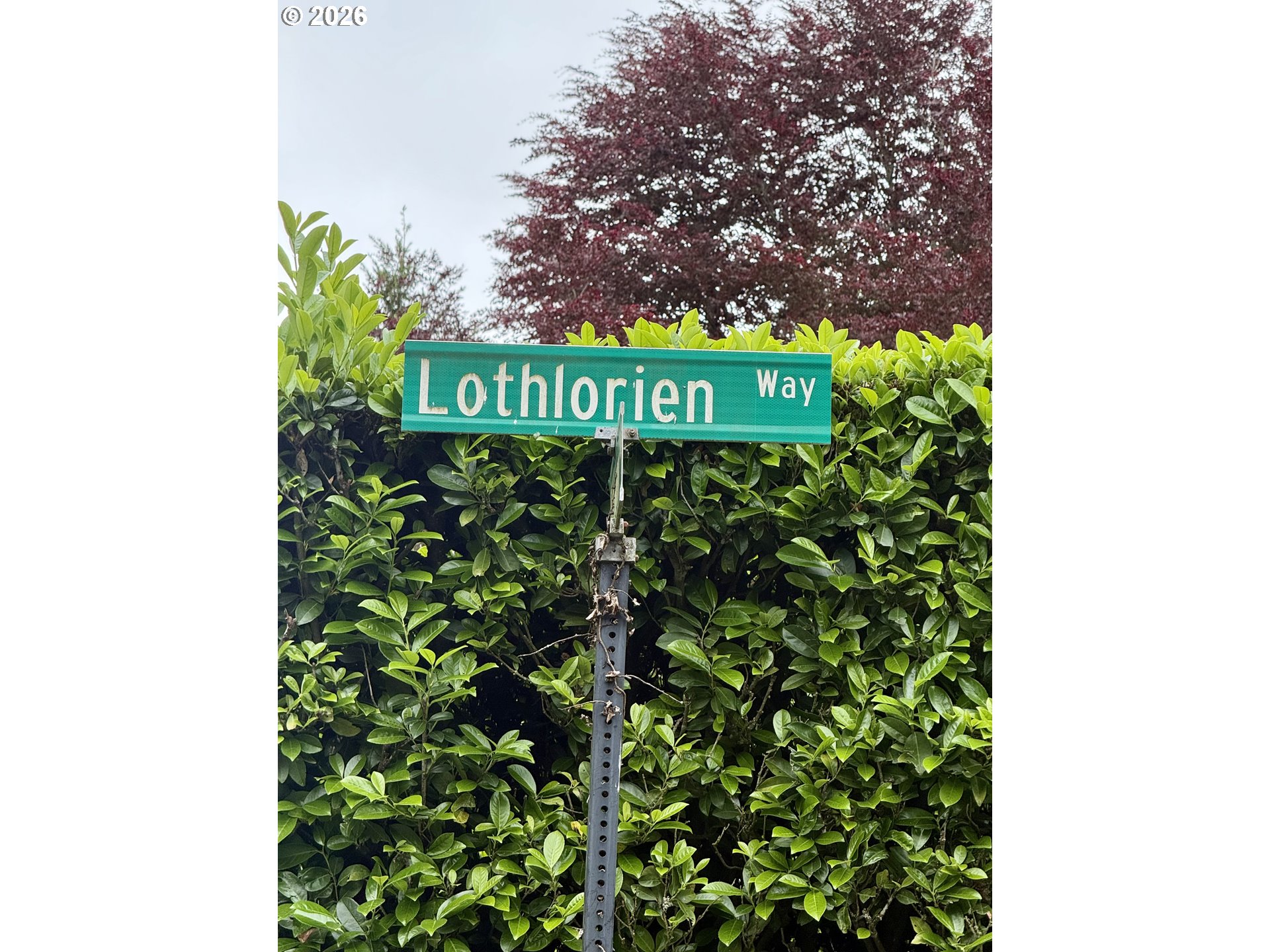 1 Lothlorien