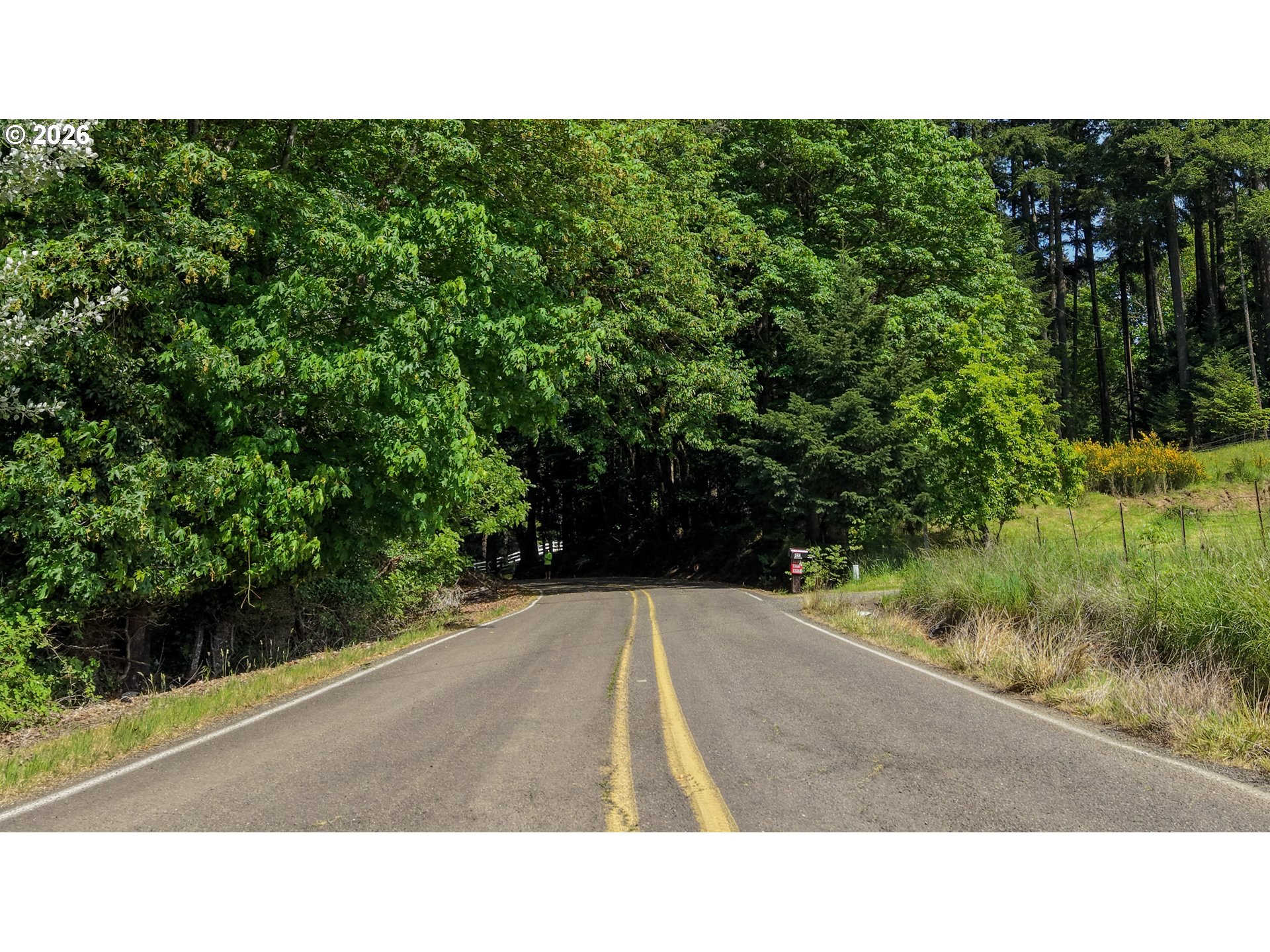 133 TIKI LN