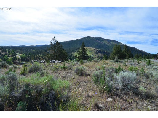 216 ELK VIEW DR, CANYON CITY, OR 97820 - Image f8a8d2bd91b806bdbe0c4090a062afc5/2393506344