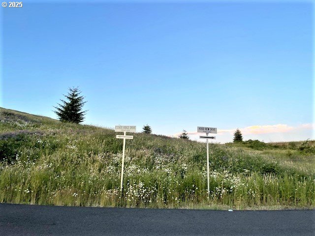230 ESTATE RIDGE DR