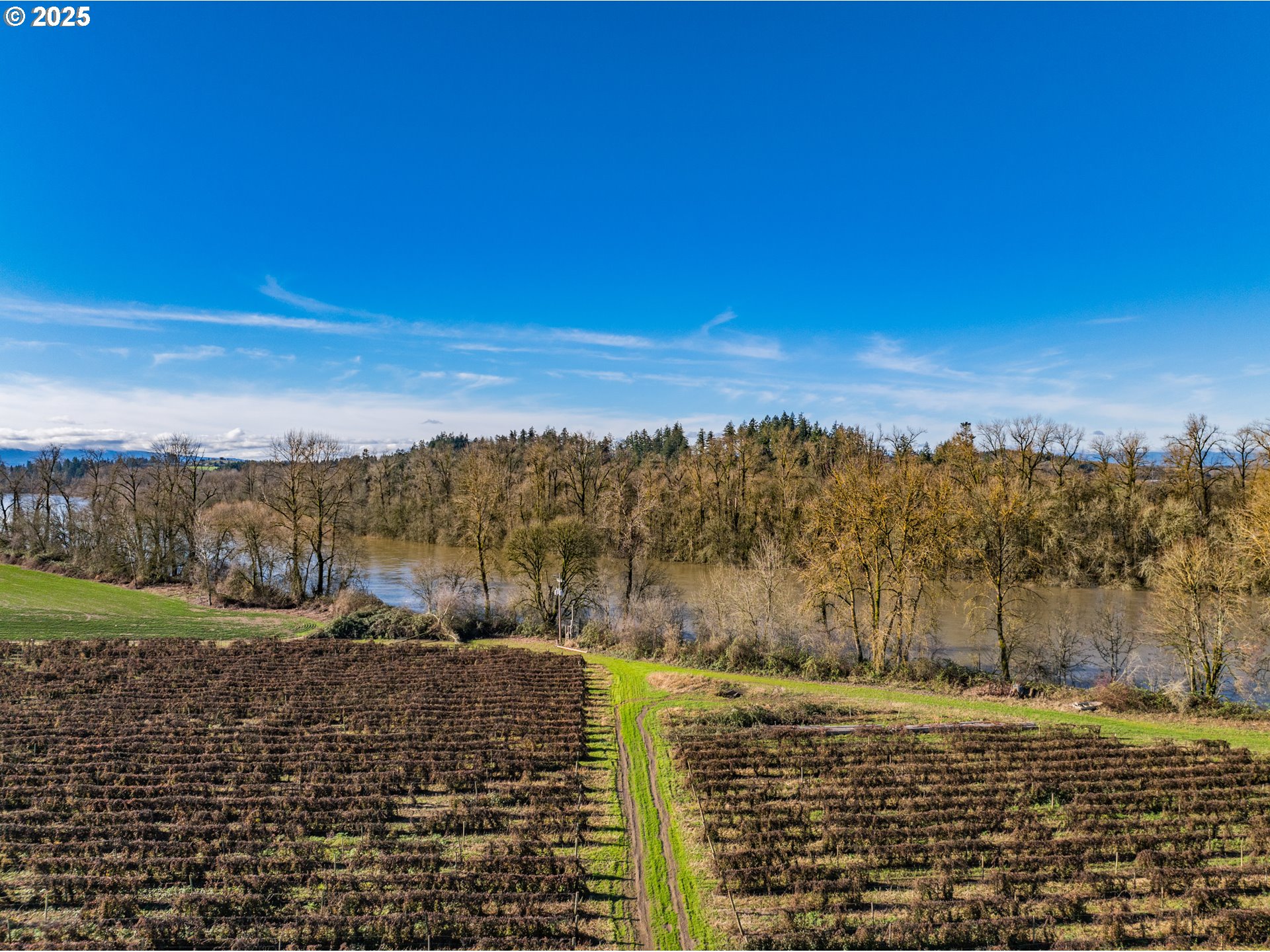 Jefferson, Oregon 97352, United States, ,Residential,Active,8800