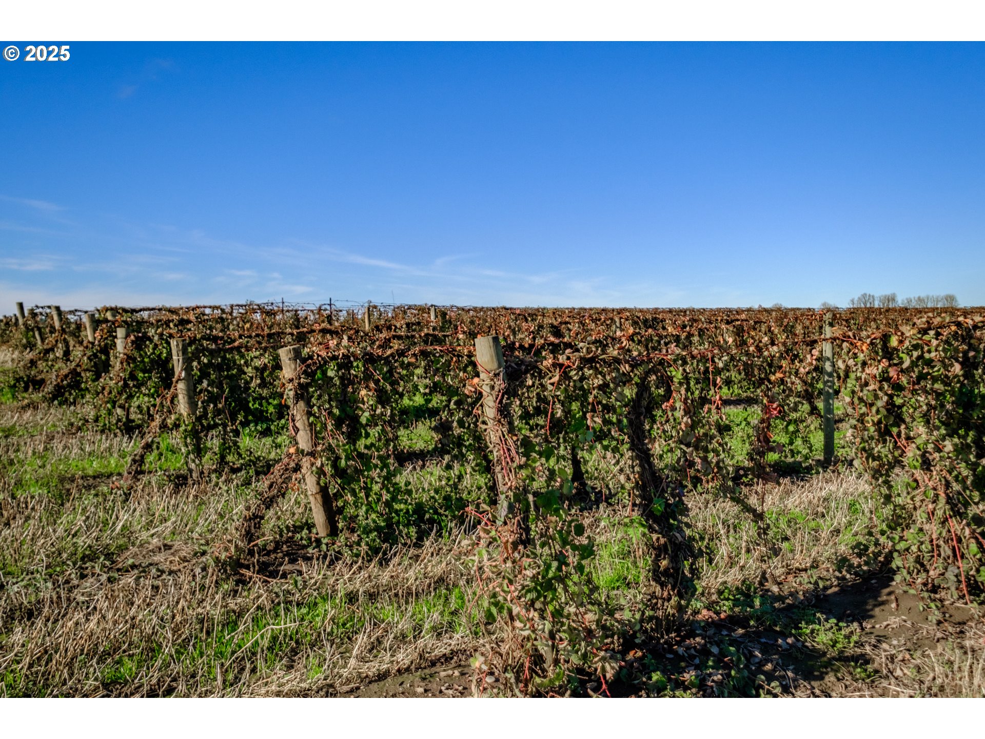 Jefferson, Oregon 97352, United States, ,Residential,Active,8800