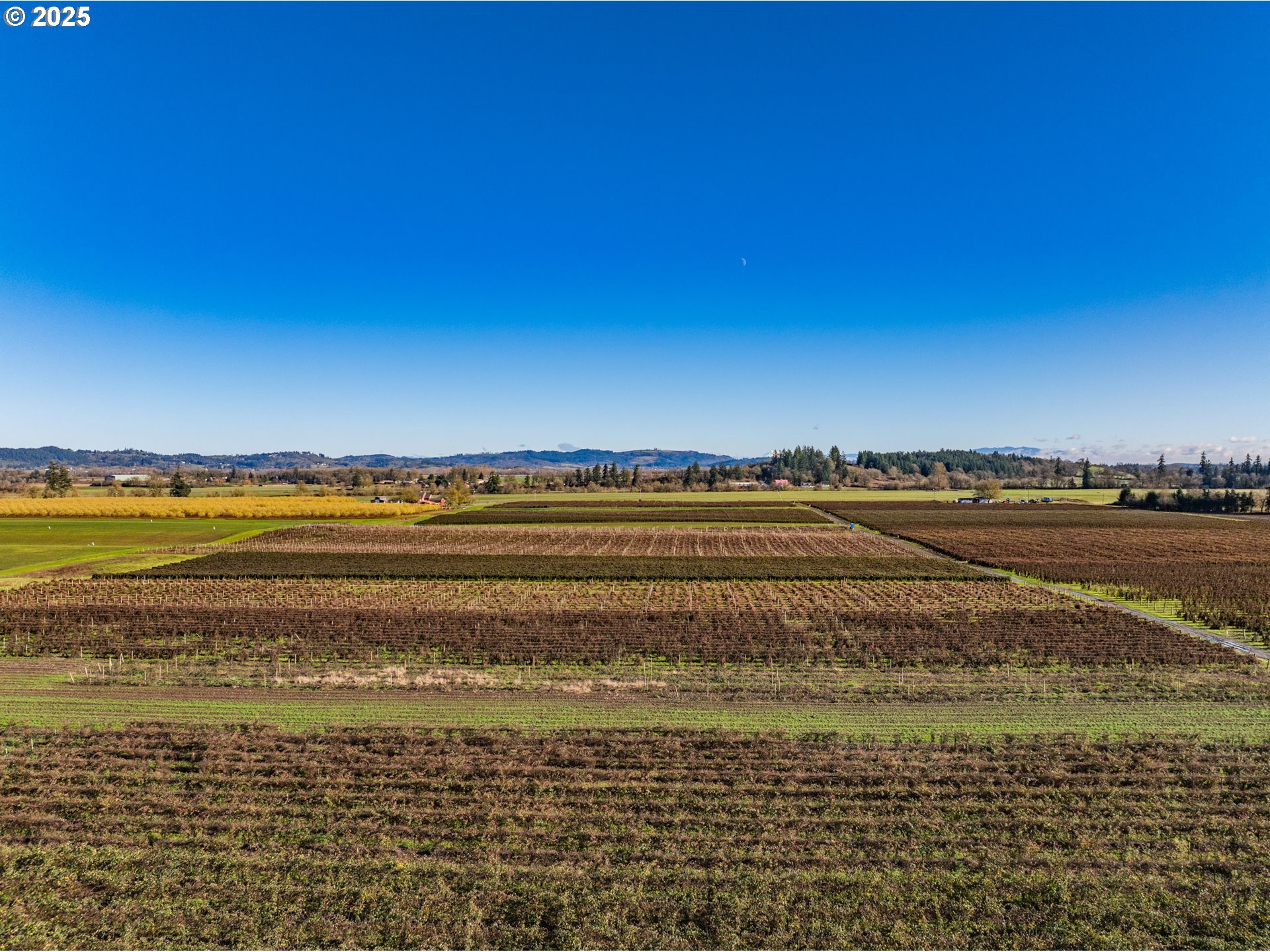 Jefferson, Oregon 97352, United States, ,Residential,Active,8800