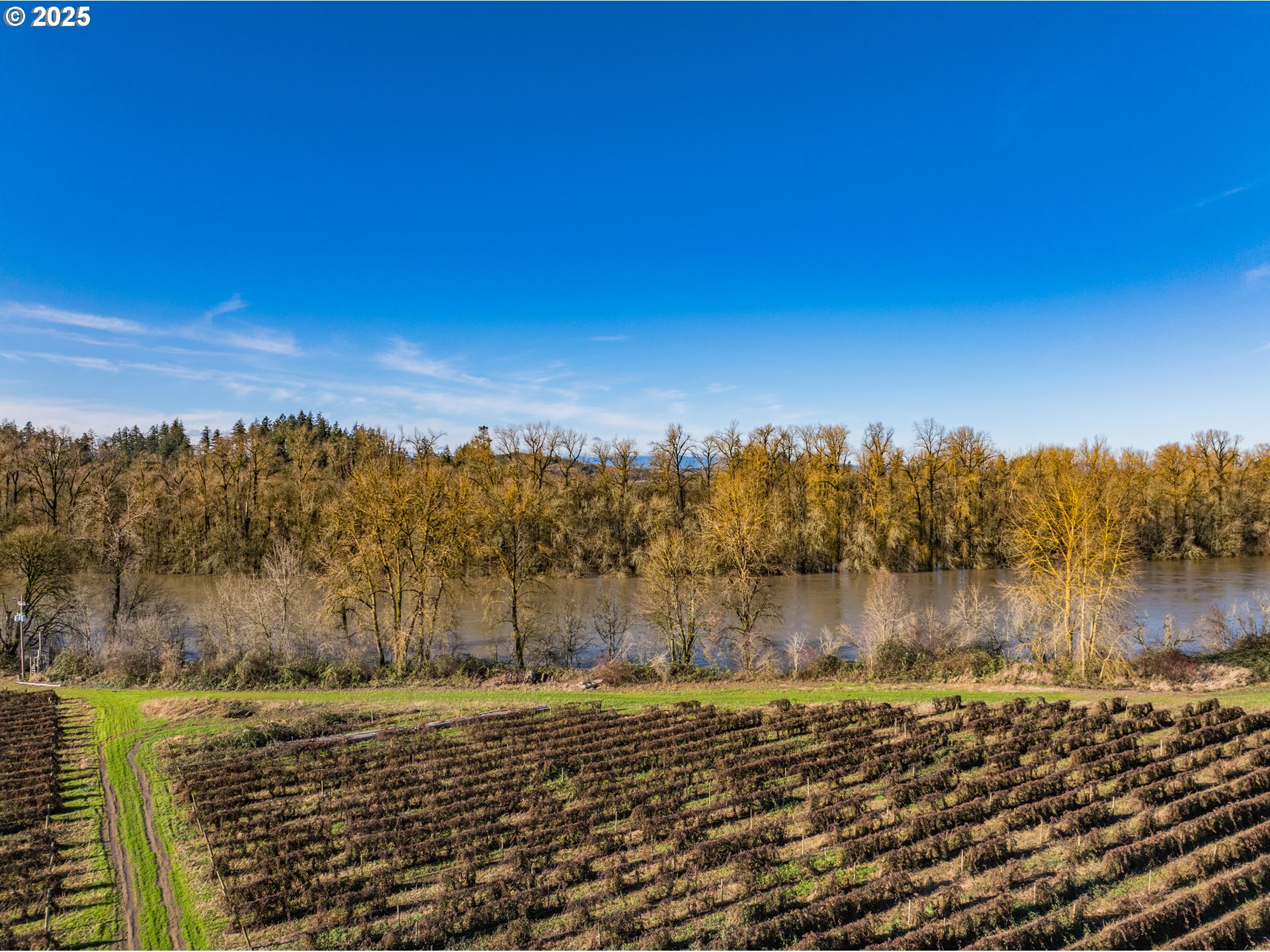 Jefferson, Oregon 97352, United States, ,Residential,Active,8800