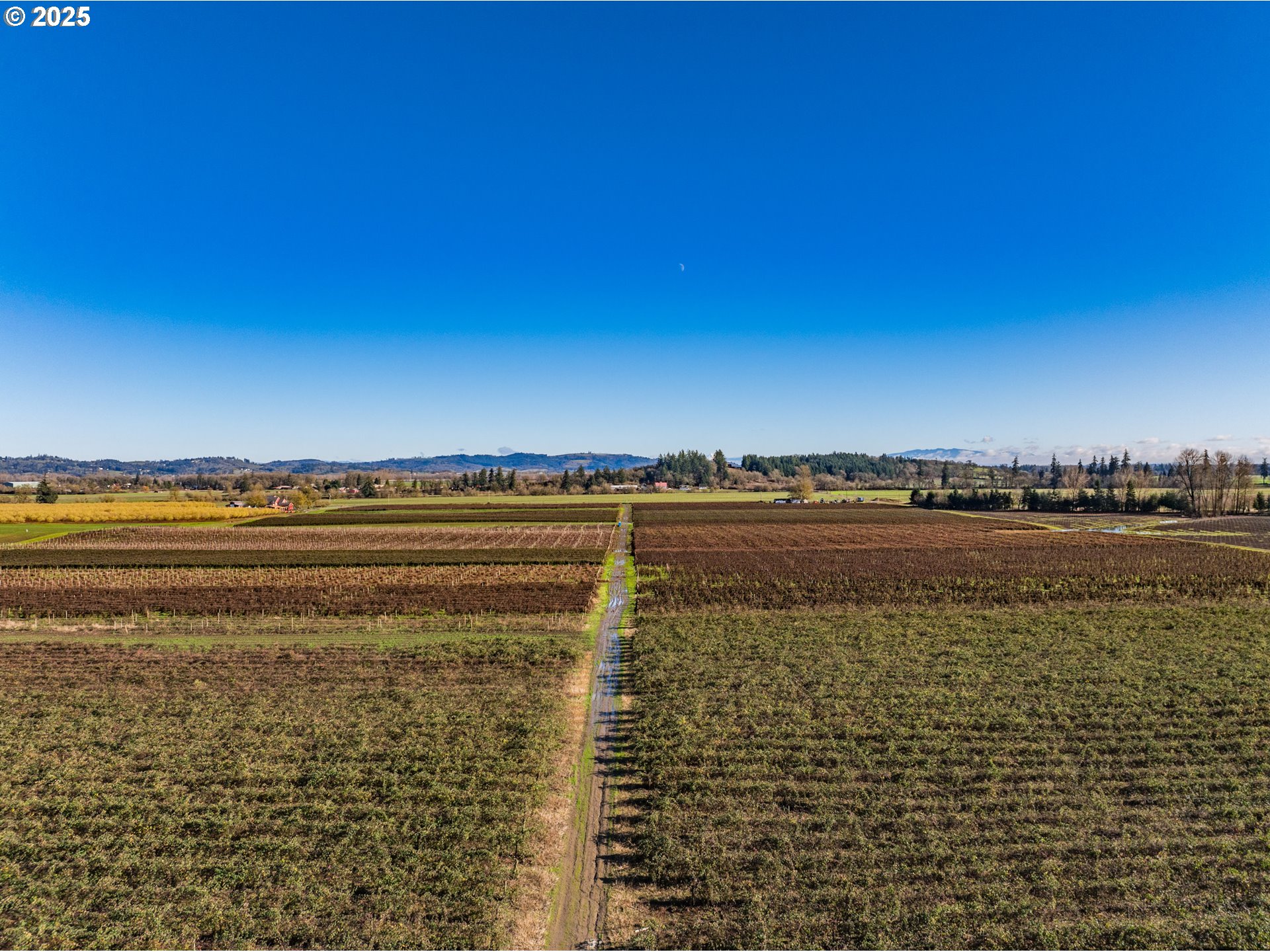 Jefferson, Oregon 97352, United States, ,Residential,Active,8800