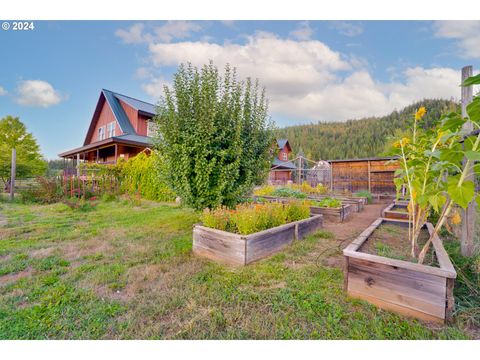 A home in Trout Lake