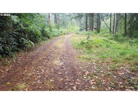 Photo of 32218 NE 86th St, Camas, WA 98607 (MLS # 24268172)