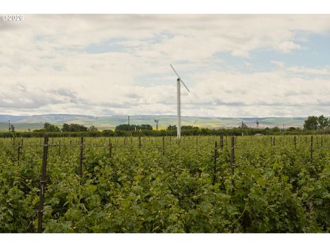 Photo of 84427 Highway 339, Milton Freewater, OR 97862 (MLS # 336656861)