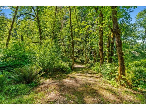 Tiny photo for 81482 Lost Creek Rd, Dexter, OR 97431 (MLS # 296805101)