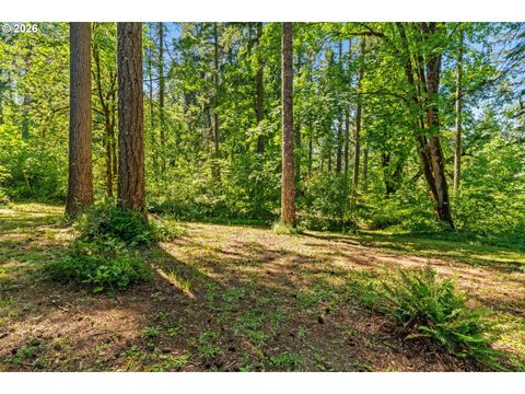 Tiny photo for 81482 Lost Creek Rd, Dexter, OR 97431 (MLS # 296805101)