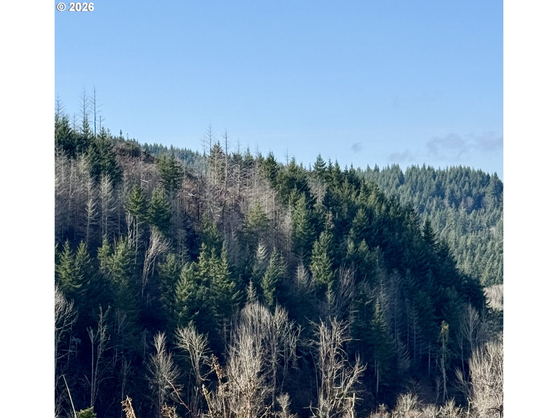 Butte Creek Crossing