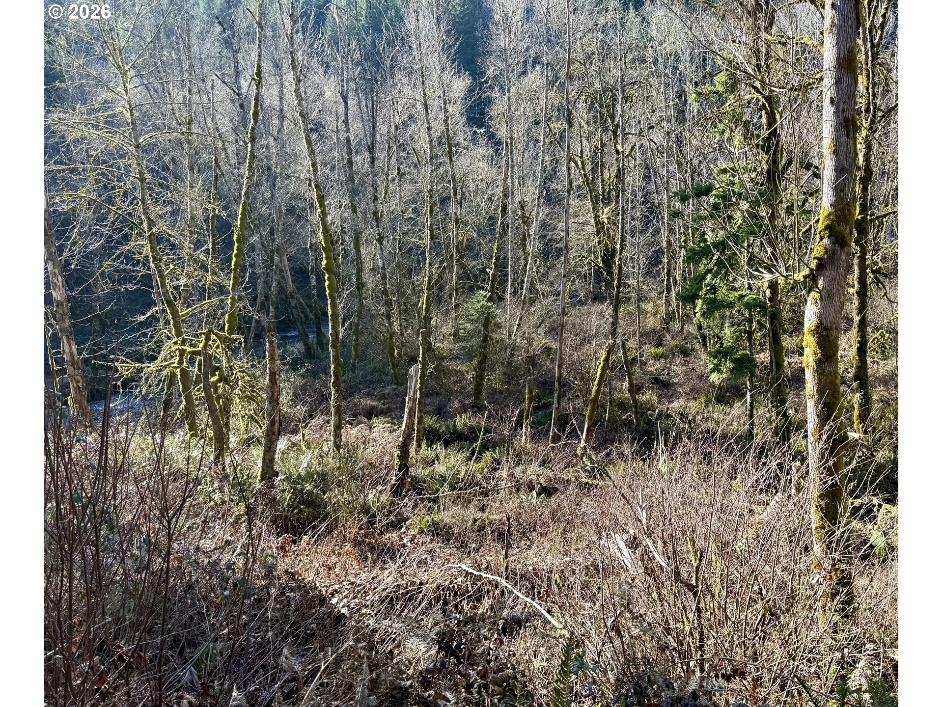 Butte Creek Crossing