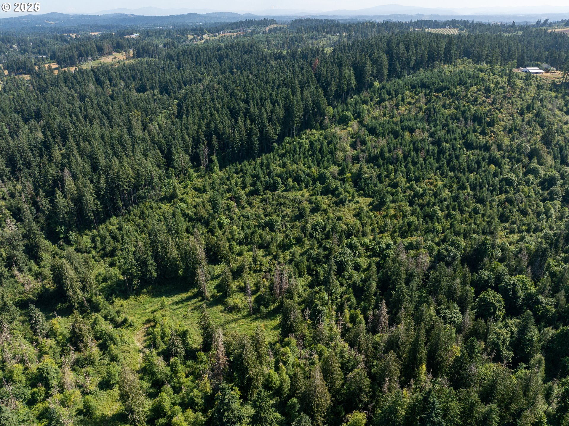 Bogynski RD