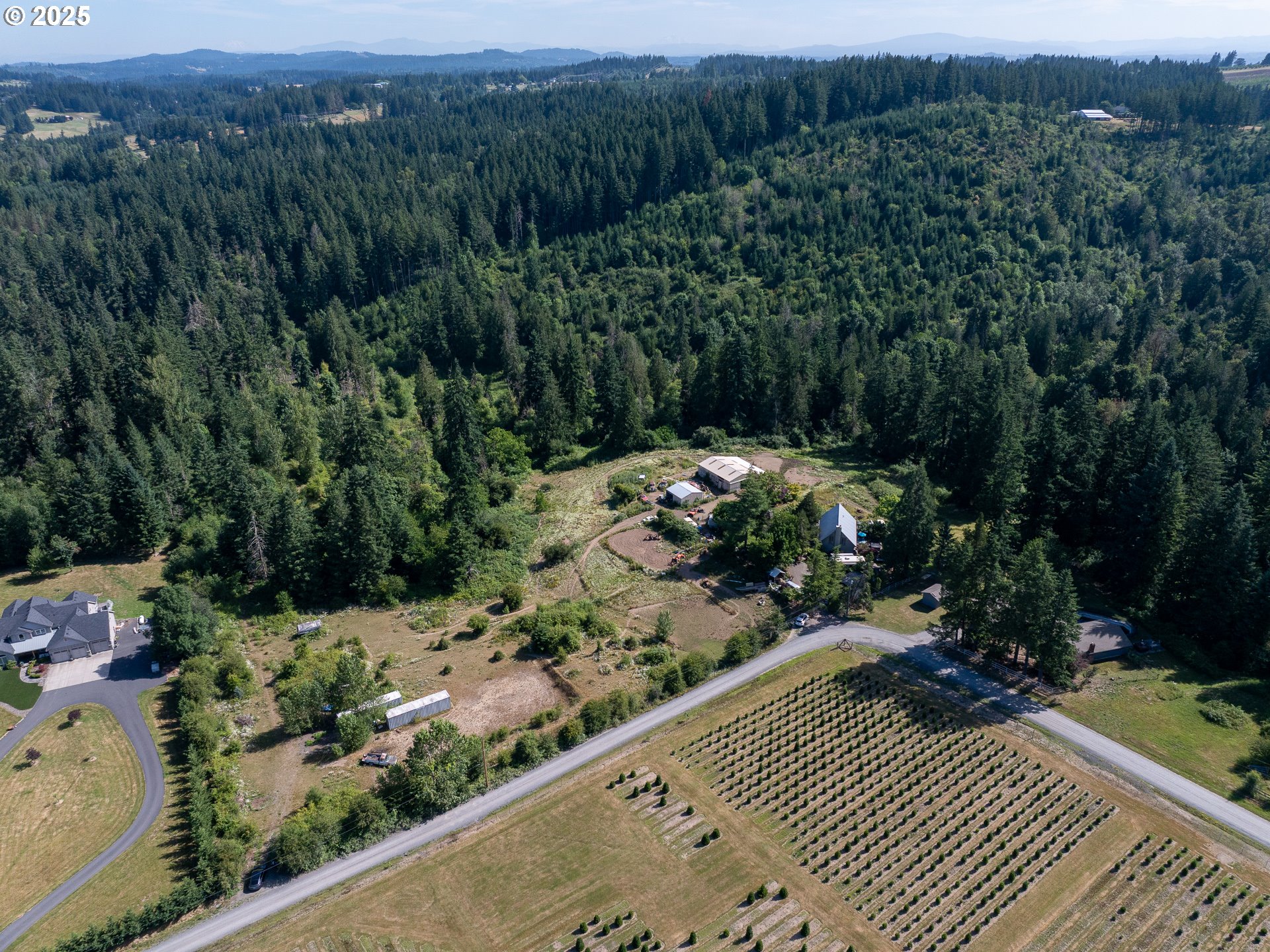 Bogynski RD