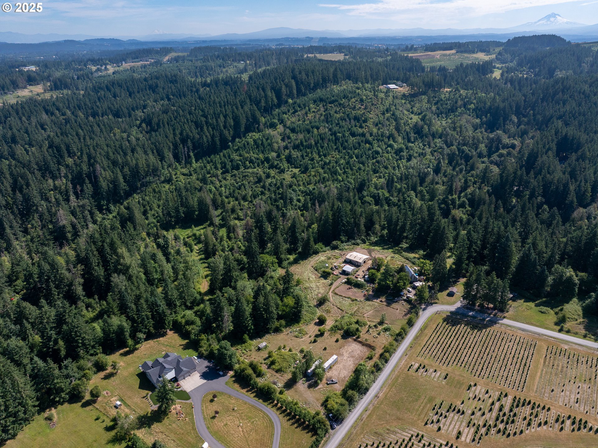 Bogynski RD