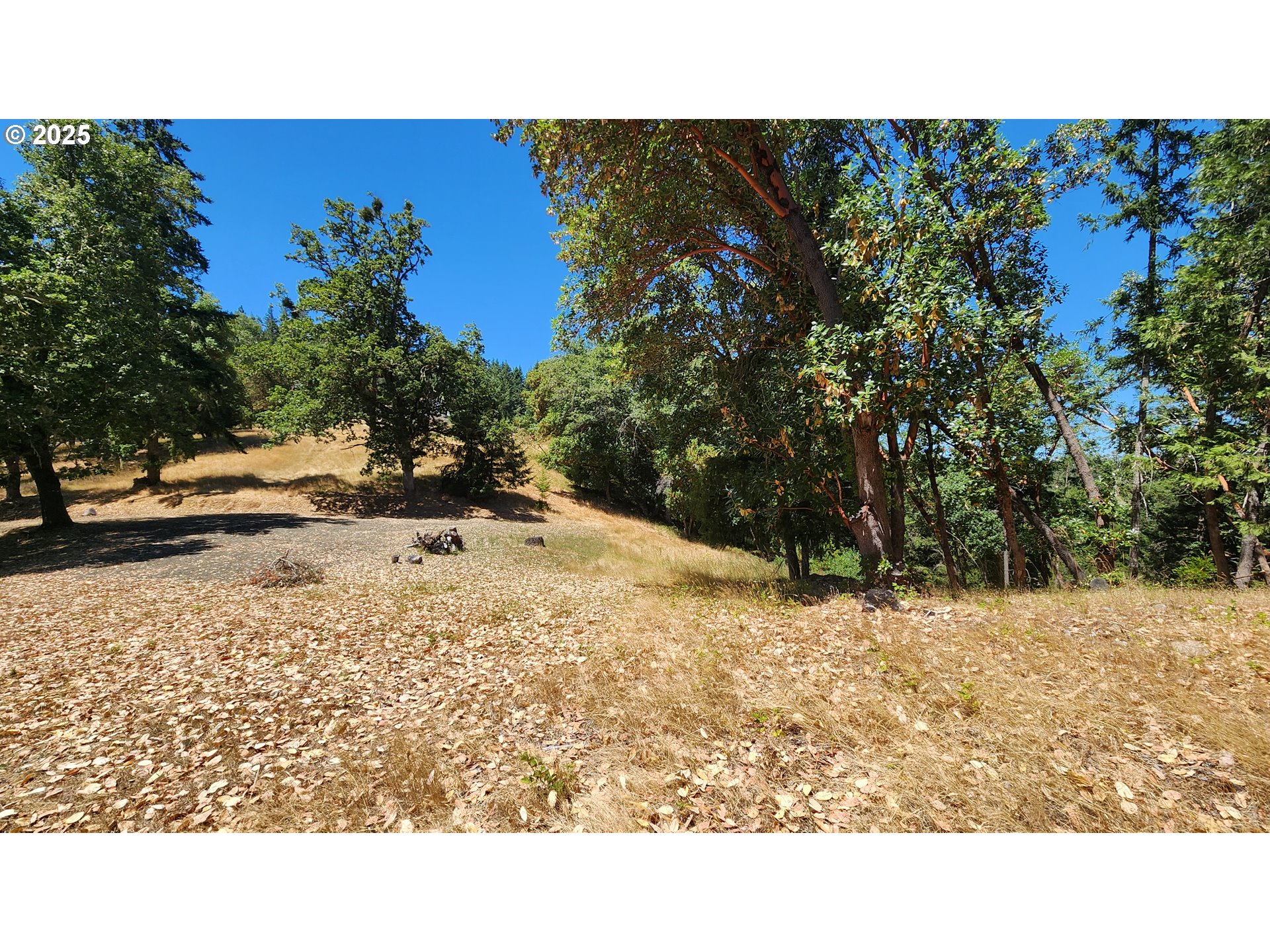 675 PANORAMA LN