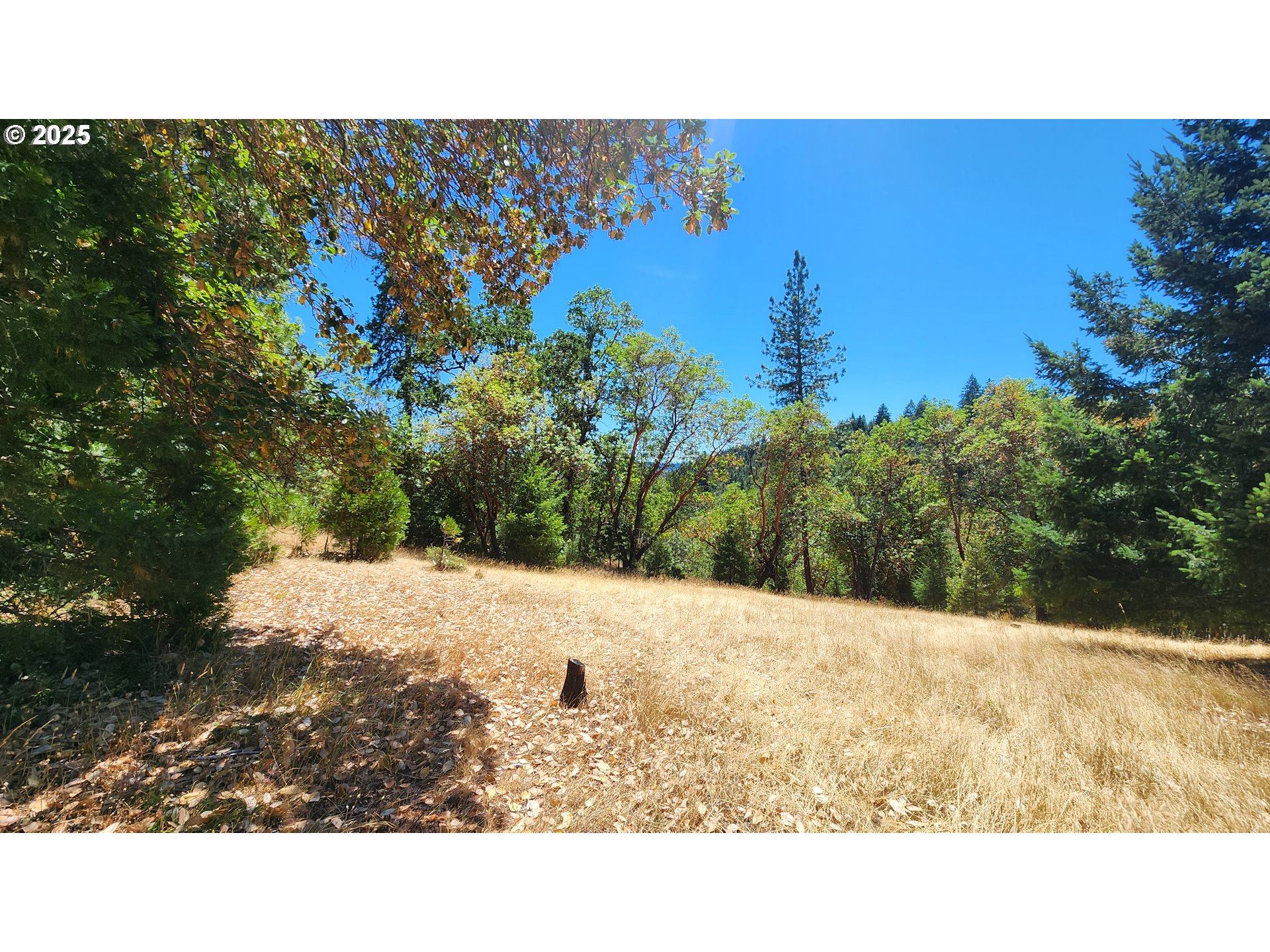 675 PANORAMA LN