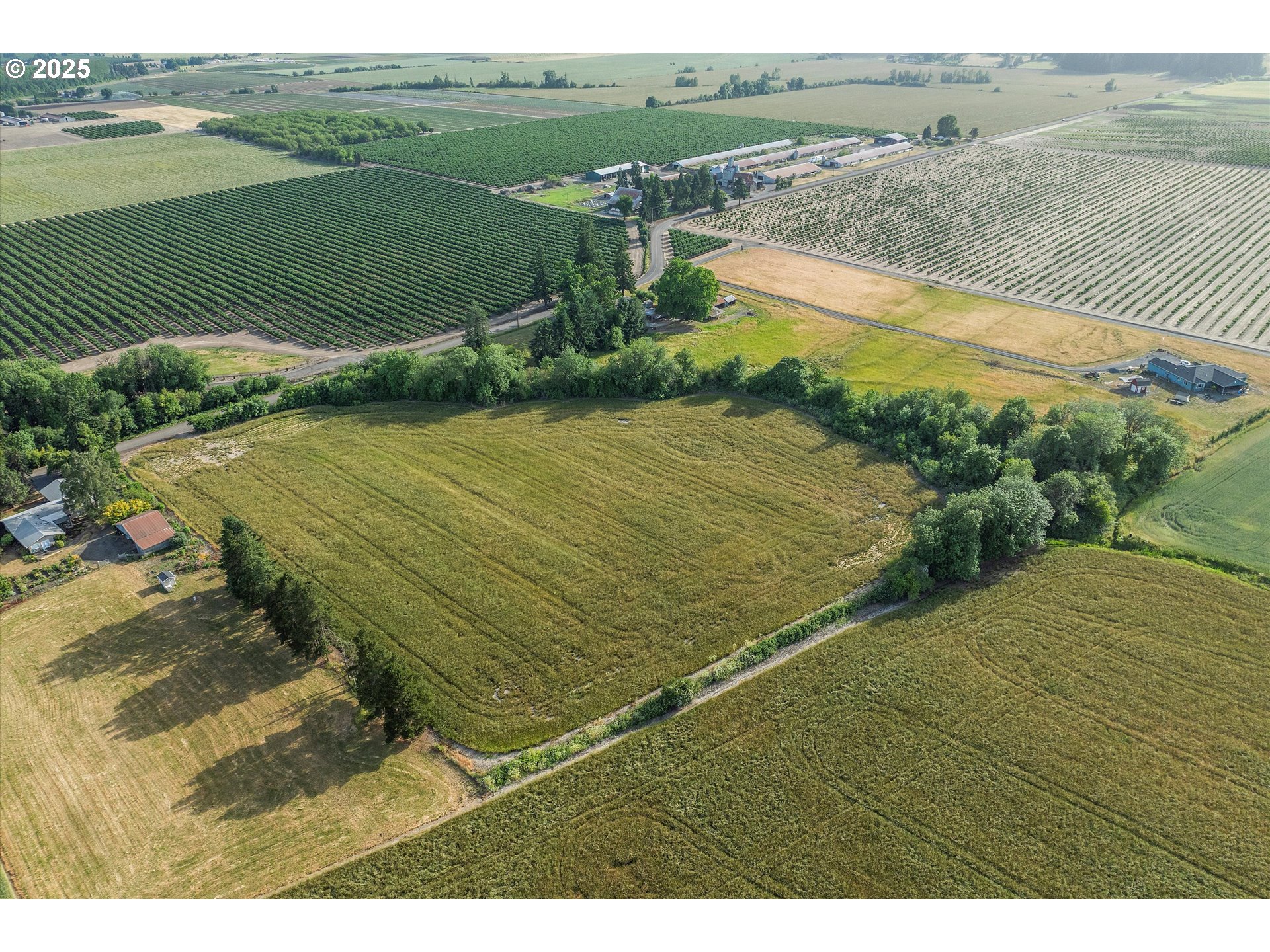 McMinnville, Oregon 97128, United States, 3 Bedrooms Bedrooms, ,2 BathroomsBathrooms,Residential,Active,153454