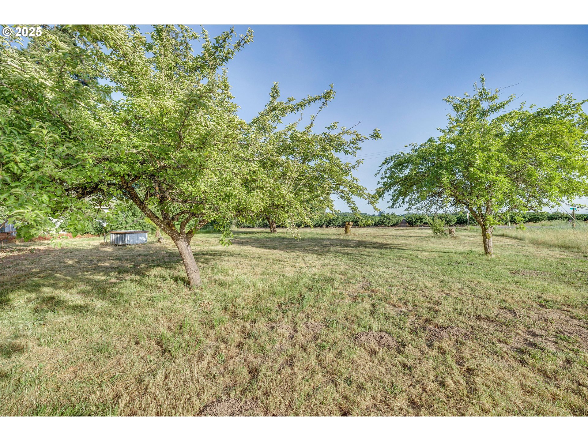 McMinnville, Oregon 97128, United States, 3 Bedrooms Bedrooms, ,2 BathroomsBathrooms,Residential,Active,153454