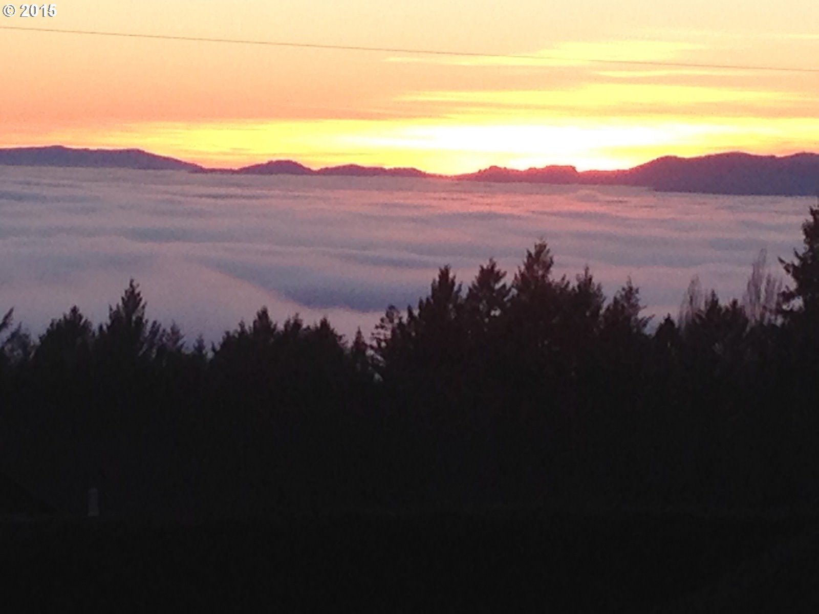 Newberg, Oregon 97132, United States, ,Land,Active,76137