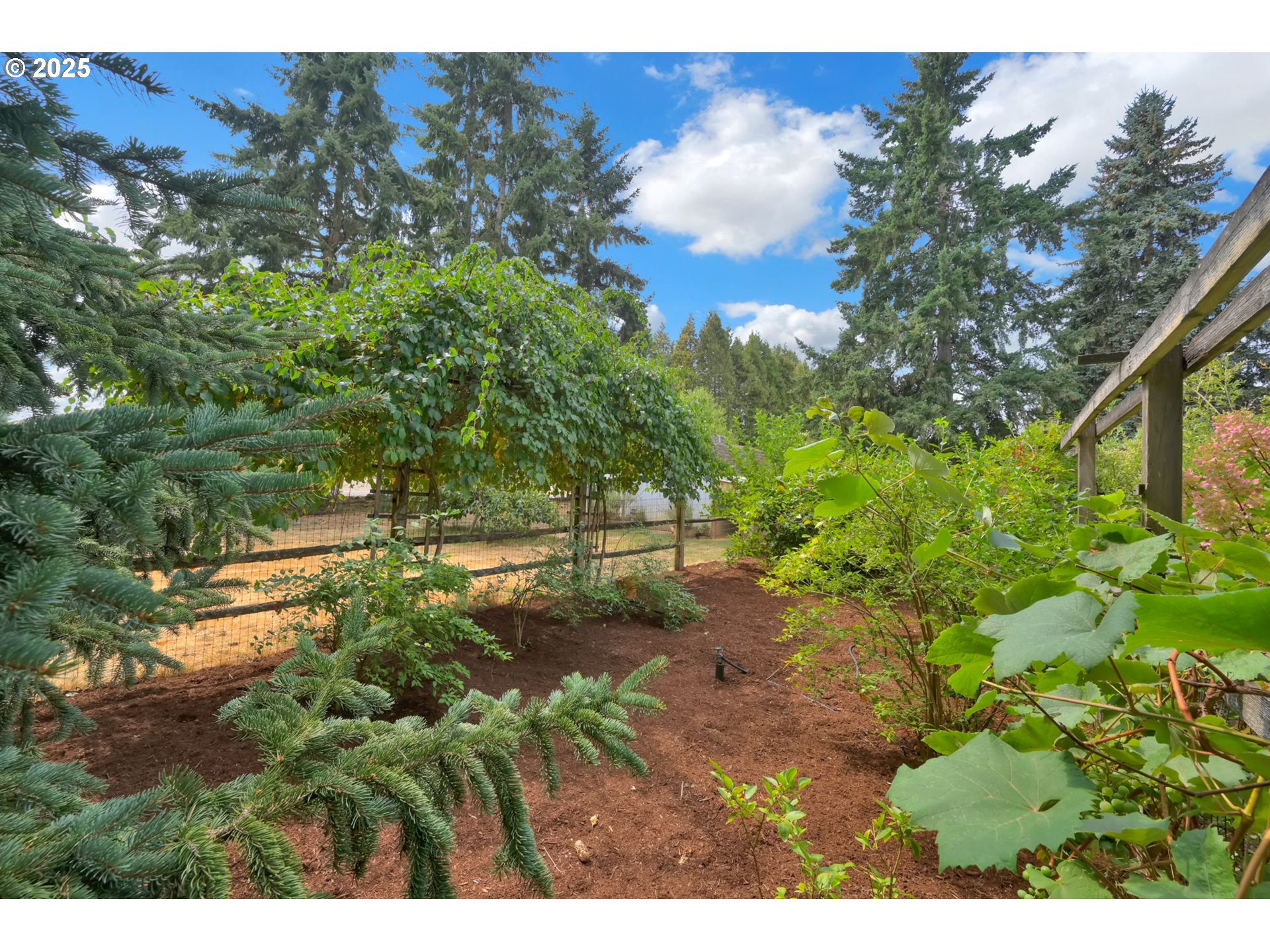 Eugene, Oregon 97402, United States, 3 Bedrooms Bedrooms, ,2 BathroomsBathrooms,Residential,Pending,200414