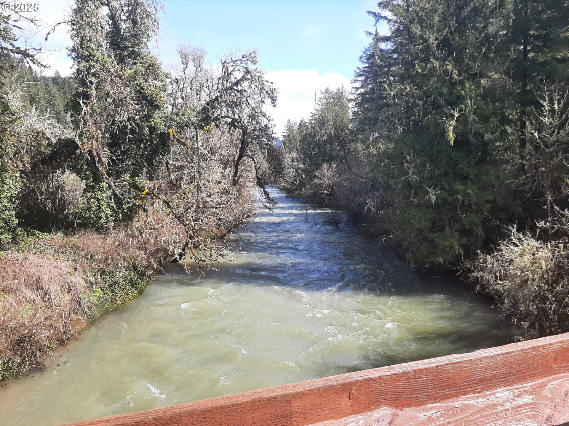 Dorena, Oregon 97434, United States, 3 Bedrooms Bedrooms, ,3 BathroomsBathrooms,Residential,Active,24954