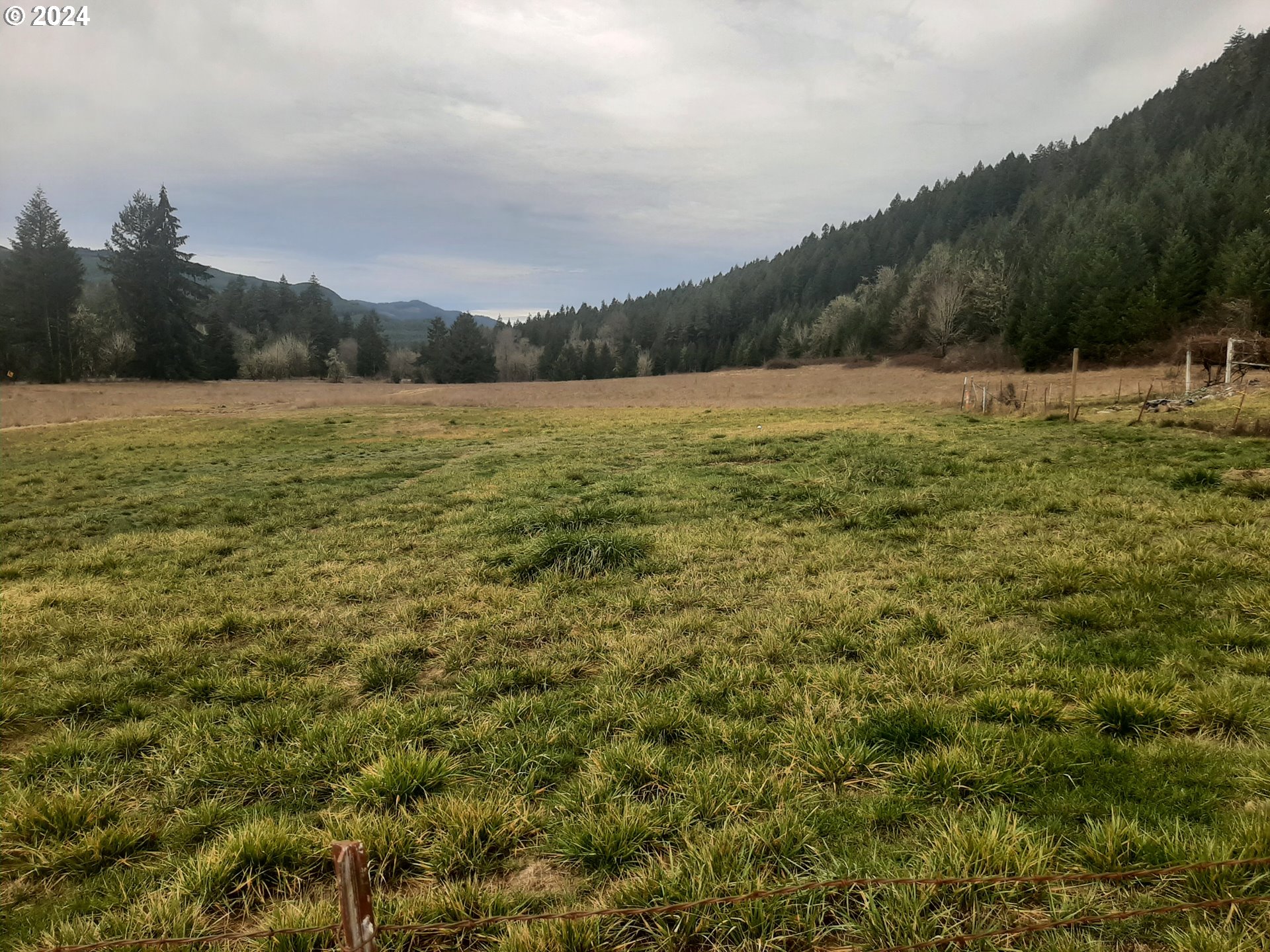 Dorena, Oregon 97434, United States, 3 Bedrooms Bedrooms, ,3 BathroomsBathrooms,Residential,Active,24954