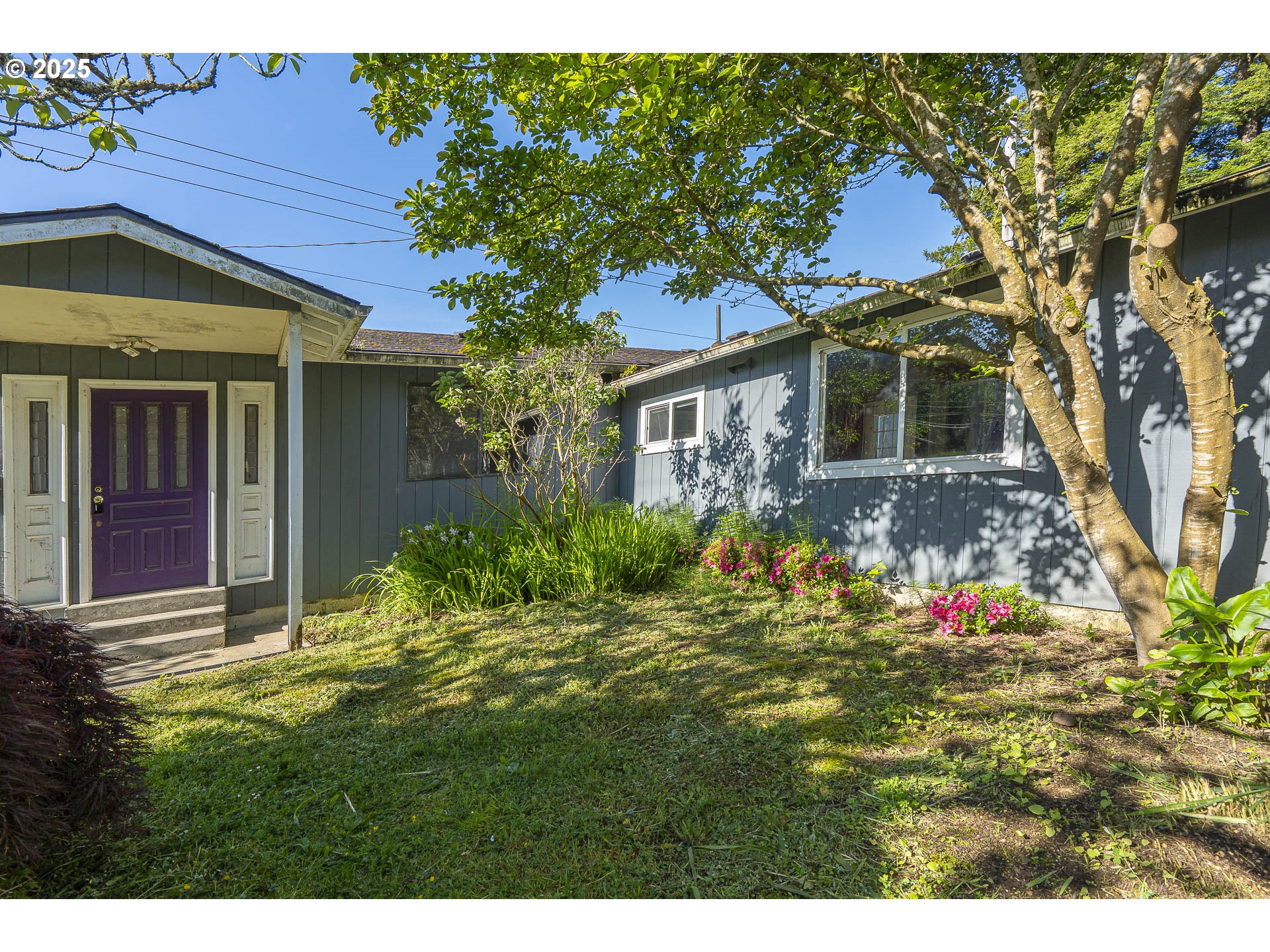 509 GARIBALDI AVE