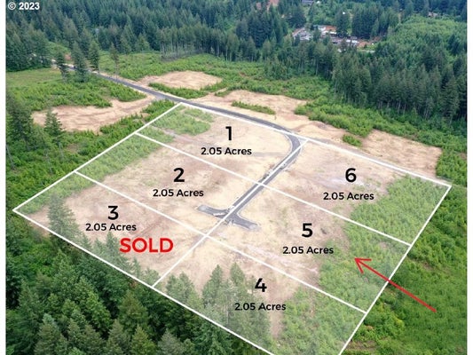 NE 43RD CIR LOT 5, CAMAS, WA 98607 - Image fe7b58b05d47dbbbef1a3bc638ce44b5/270105730