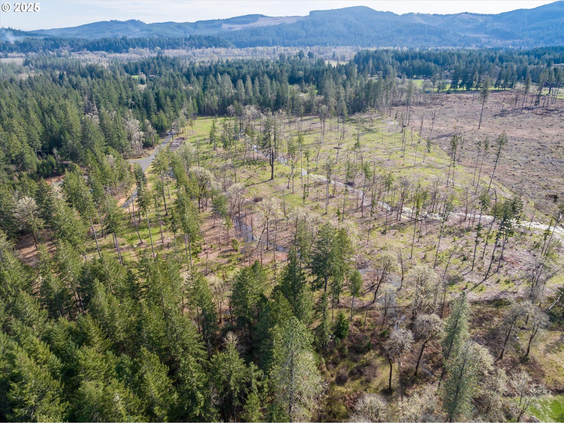 Veneta, Oregon 97487, United States, ,Land,Active,98781