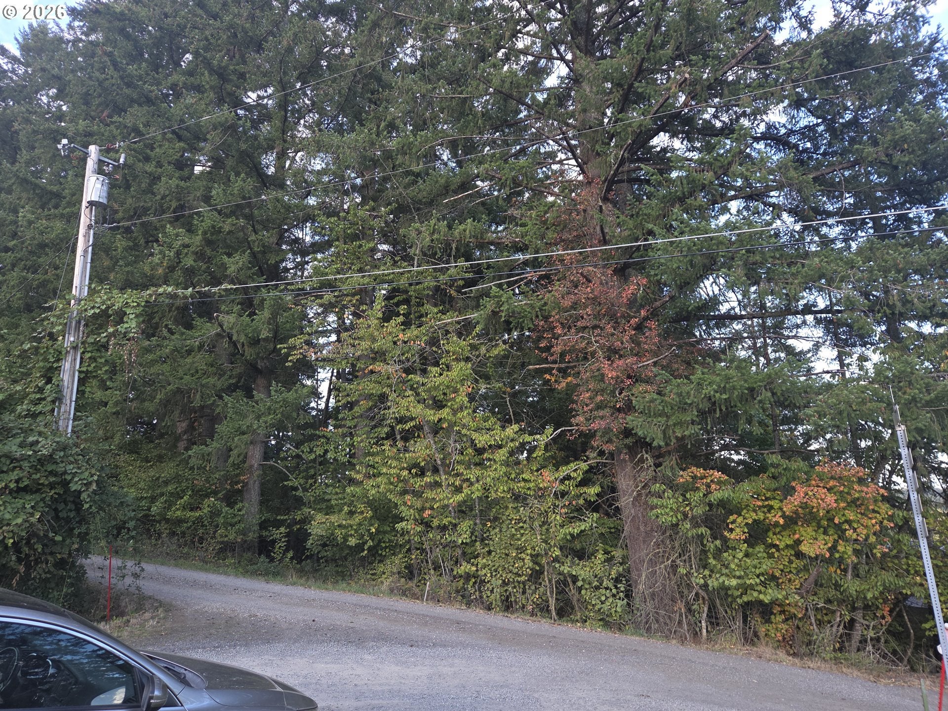 Hattan RD