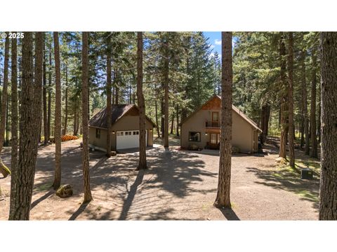157 LYONS RD White Salmon WA 98672