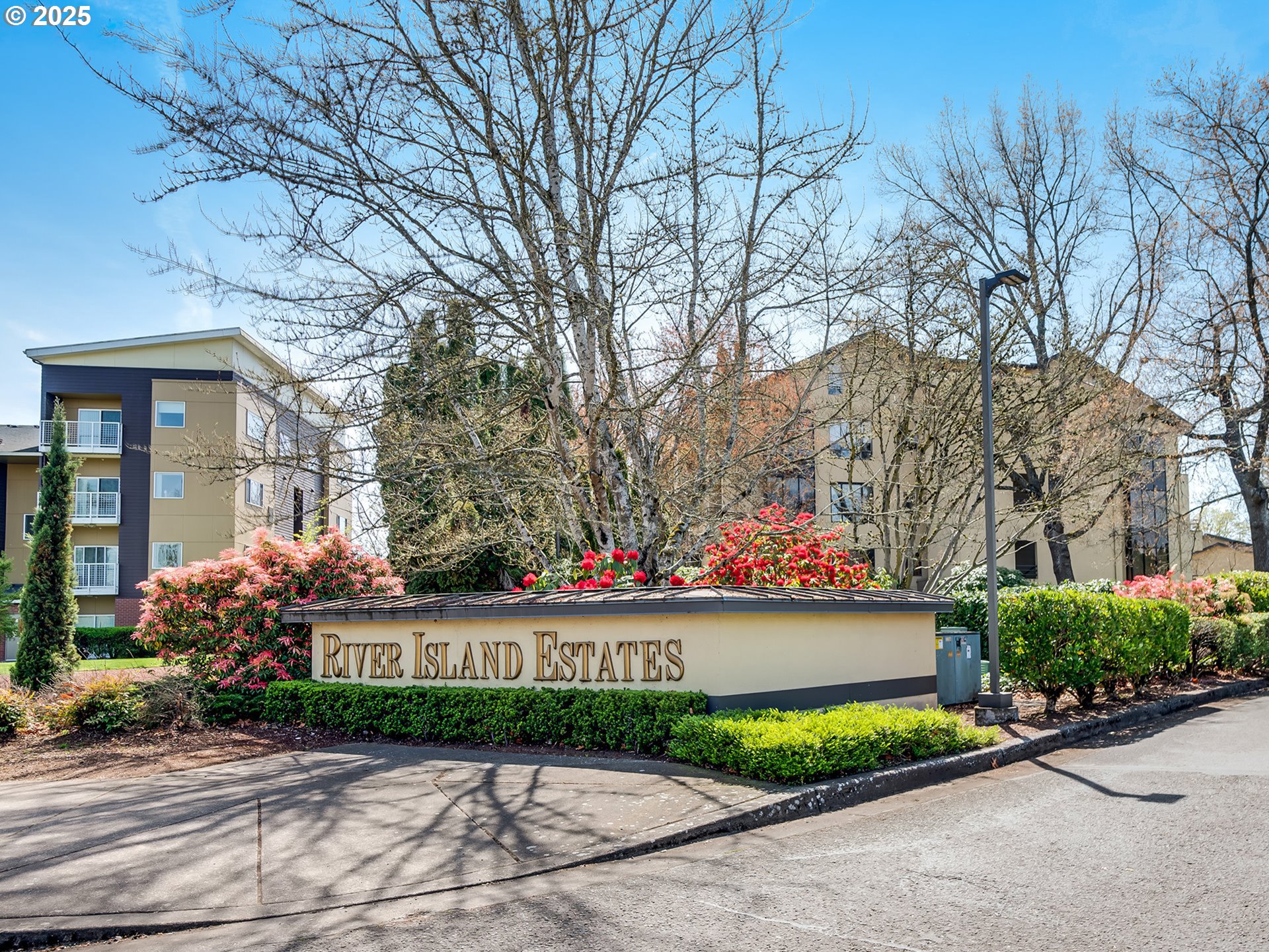 Eugene, Oregon 97401, United States, 1 Bedroom Bedrooms, ,1 BathroomBathrooms,Residential,Pending,541