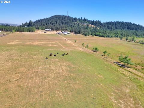 Tiny photo for 33320 Bryant Rd, Creswell, OR 97426 (MLS # 312693079)