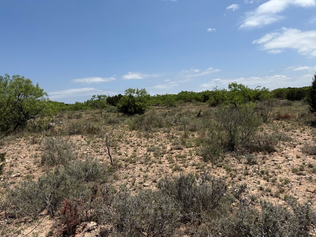 0000 County Rd 211 #101.96 ACRES 3 PIECES, Ballinger, Texas image 11