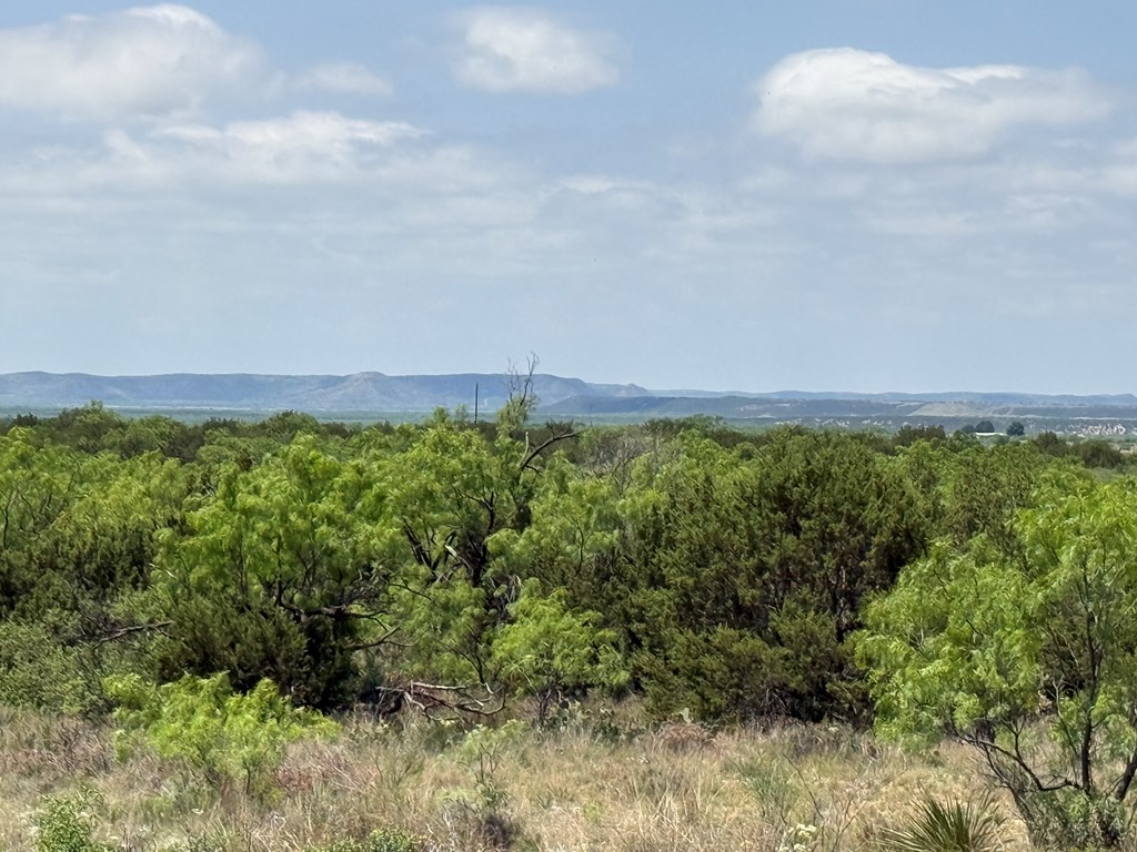 0000 County Rd 211 #101.96 ACRES 3 PIECES, Ballinger, Texas image 8