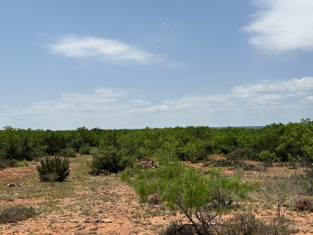 0000 County Rd 211 #101.96 ACRES 3 PIECES, Ballinger, Texas image 9