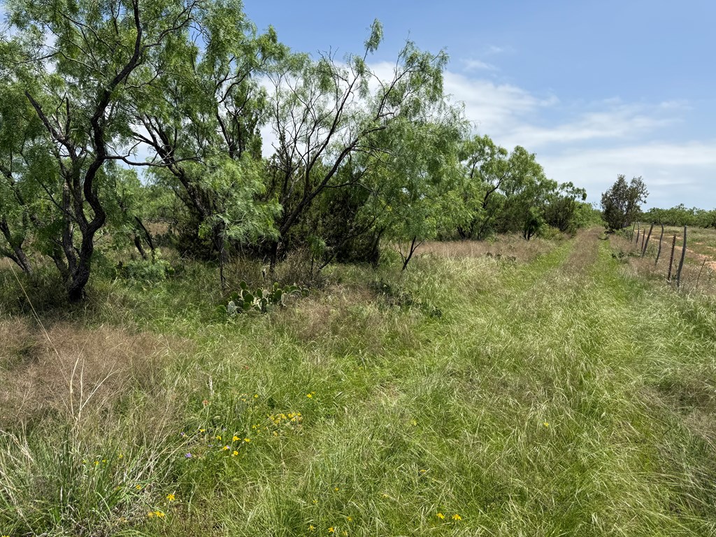 0000 County Rd 211 #101.96 ACRES 3 PIECES, Ballinger, Texas image 2