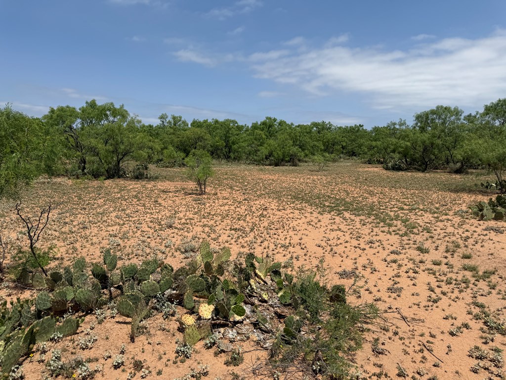 0000 County Rd 211 #101.96 ACRES 3 PIECES, Ballinger, Texas image 5