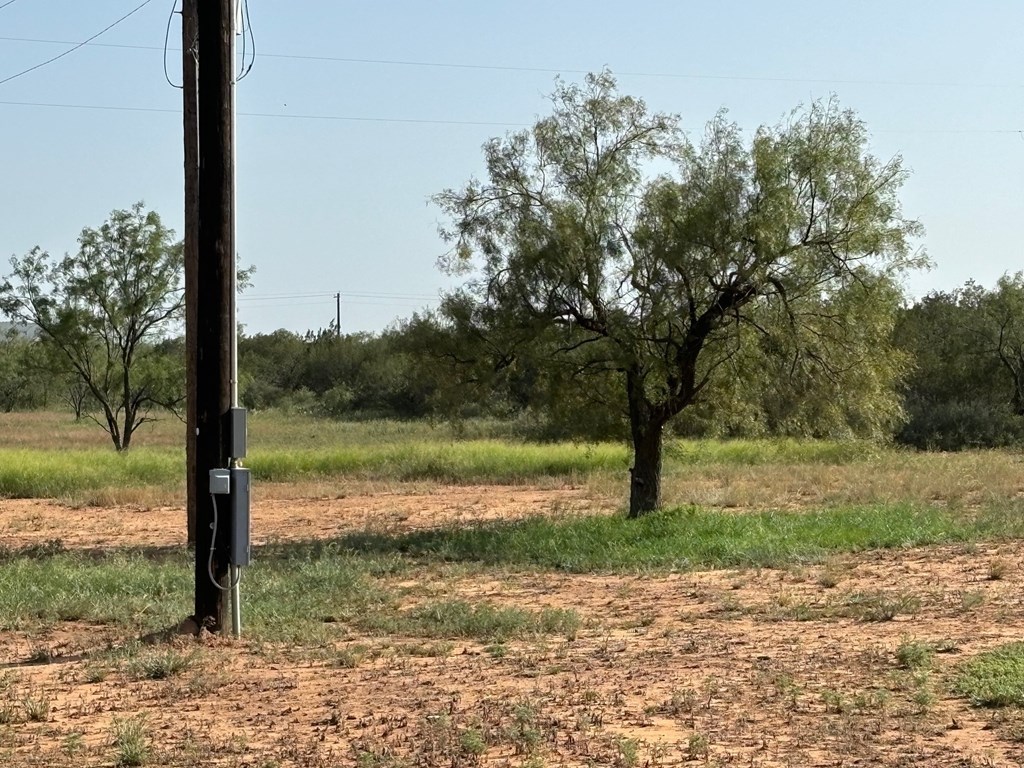 2416 Fm 2662, Bronte, Texas image 39