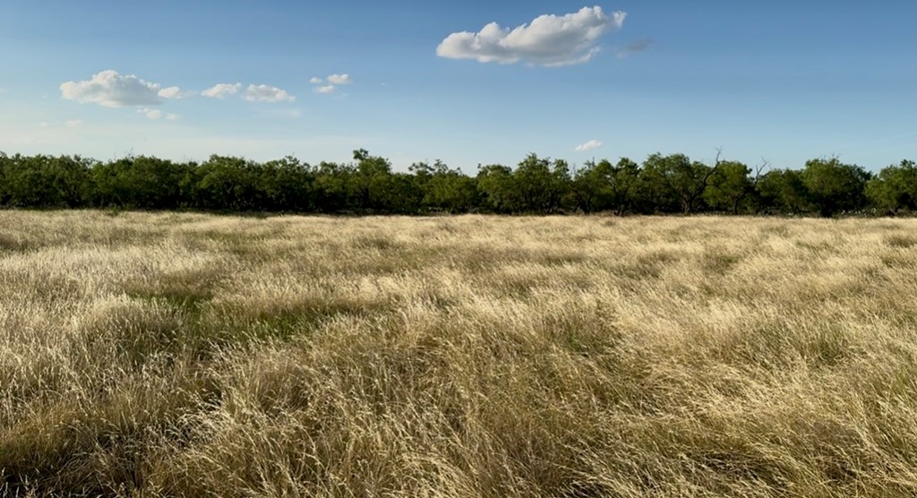 Ballinger, Texas 76821, United States, ,Land,Active,180696