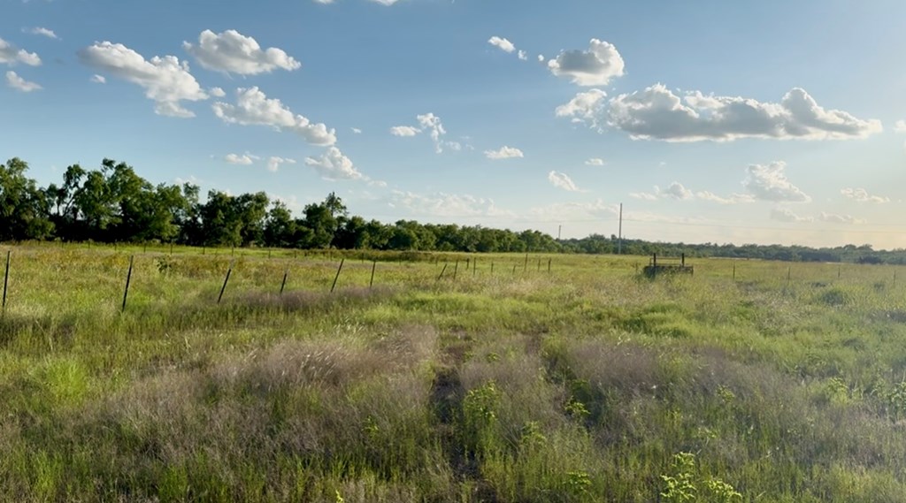 Ballinger, Texas 76821, United States, ,Land,Active,180696