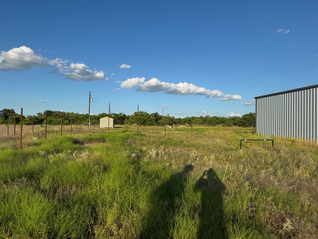 Ballinger, Texas 76821, United States, ,Land,Active,180696
