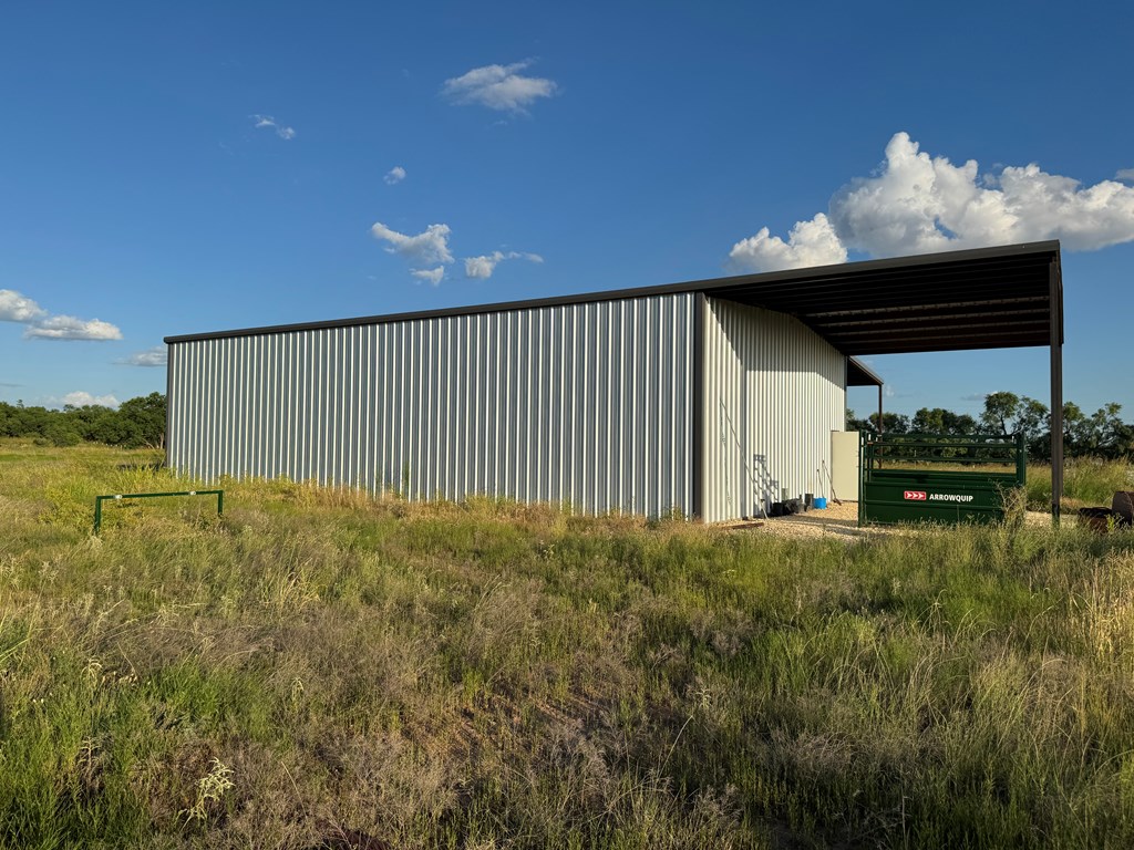 Ballinger, Texas 76821, United States, ,Land,Active,180696