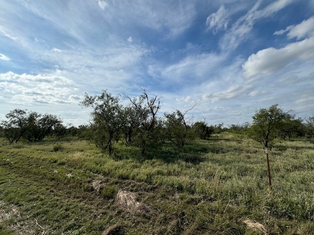 9526 Iron Spoke Trail #13, Carlsbad, Texas image 8