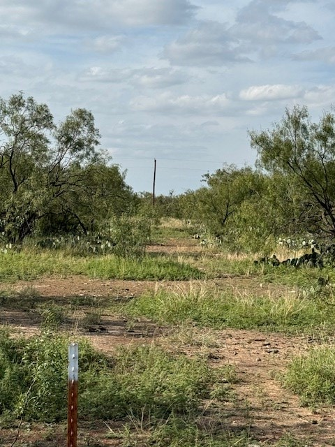 9526 Iron Spoke Trail #13, Carlsbad, Texas image 3