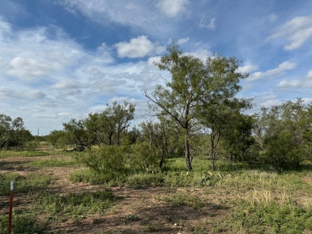 9526 Iron Spoke Trail #13, Carlsbad, Texas image 2